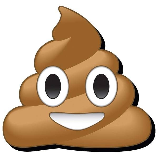poop-600x600