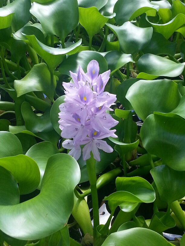 20140905_121904_resized